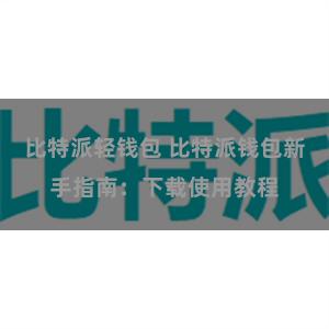 比特派轻钱包 比特派钱包新手指南：下载使用教程