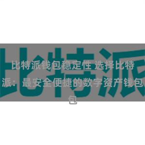 比特派钱包稳定性 选择比特派：最安全便捷的数字资产钱包