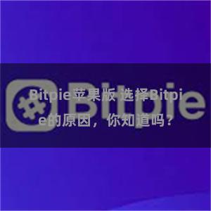 Bitpie苹果版 选择Bitpie的原因，你知道吗？