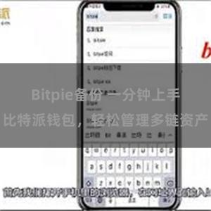 Bitpie备份 一分钟上手比特派钱包，轻松管理多链资产