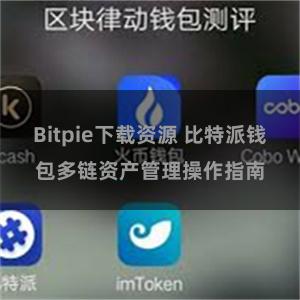 Bitpie下载资源 比特派钱包多链资产管理操作指南