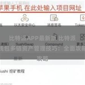 比特派APP最新版 比特派钱包多链资产管理技巧：全面攻略