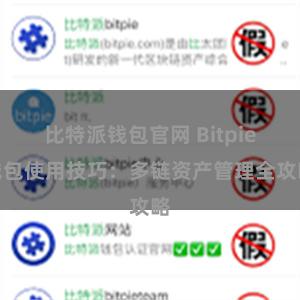 比特派钱包官网 Bitpie钱包使用技巧：多链资产管理全攻略