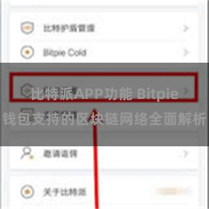 比特派APP功能 Bitpie钱包支持的区块链网络全面解析