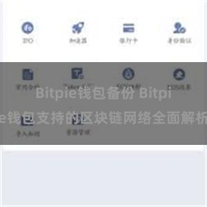 Bitpie钱包备份 Bitpie钱包支持的区块链网络全面解析