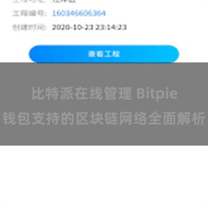 比特派在线管理 Bitpie钱包支持的区块链网络全面解析