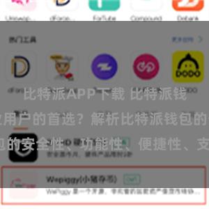 比特派APP下载 比特派钱包为何是专业用户的首选？解析比特派钱包的安全性、功能性、便捷性、支持性等优势。