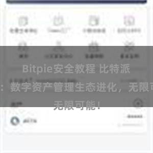 Bitpie安全教程 比特派钱包：数字资产管理生态进化，无限可能！