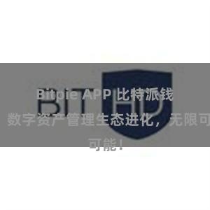 Bitpie APP 比特派钱包：数字资产管理生态进化，无限可能！