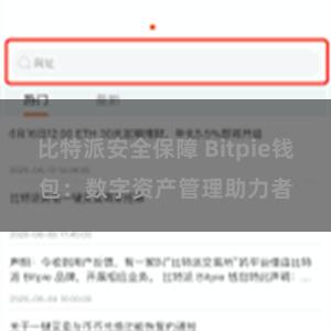 比特派安全保障 Bitpie钱包：数字资产管理助力者