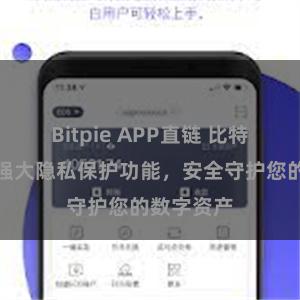 Bitpie APP直链 比特派钱包：强大隐私保护功能，安全守护您的数字资产