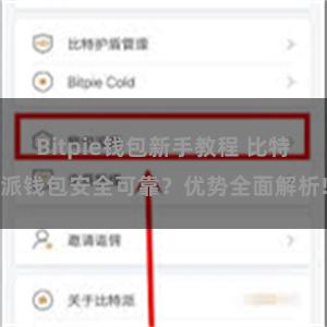 Bitpie钱包新手教程 比特派钱包安全可靠？优势全面解析!