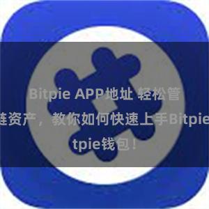 Bitpie APP地址 轻松管理多链资产，教你如何快速上手Bitpie钱包！