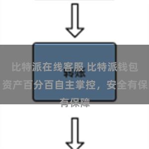 比特派在线客服 比特派钱包：资产百分百自主掌控，安全有保障