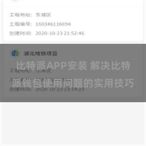 比特派APP安装 解决比特派钱包使用问题的实用技巧