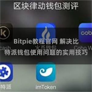 Bitpie教程官网 解决比特派钱包使用问题的实用技巧