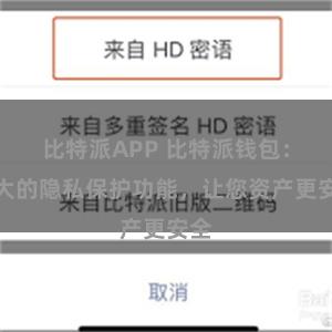 比特派APP 比特派钱包：强大的隐私保护功能，让您资产更安全