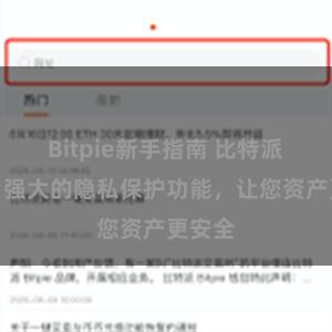 Bitpie新手指南 比特派钱包：强大的隐私保护功能，让您资产更安全