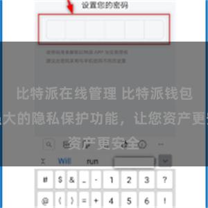 比特派在线管理 比特派钱包：强大的隐私保护功能，让您资产更安全