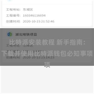 比特派安装教程 新手指南：下载并使用比特派钱包必知事项