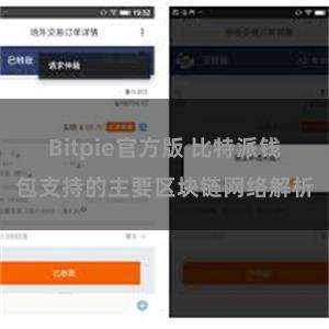 Bitpie官方版 比特派钱包支持的主要区块链网络解析