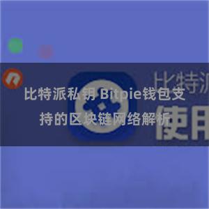 比特派私钥 Bitpie钱包支持的区块链网络解析