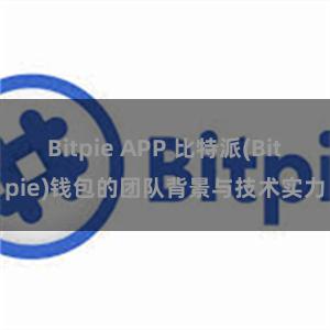 Bitpie APP 比特派(Bitpie)钱包的团队背景与技术实力