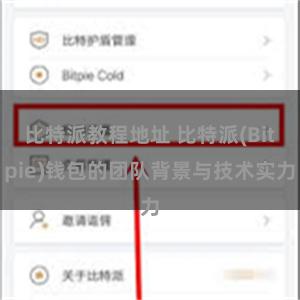 比特派教程地址 比特派(Bitpie)钱包的团队背景与技术实力