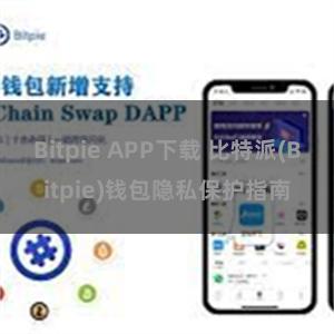 Bitpie APP下载 比特派(Bitpie)钱包隐私保护指南