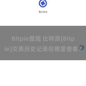 Bitpie提现 比特派(Bitpie)交易历史记录在哪里查看？