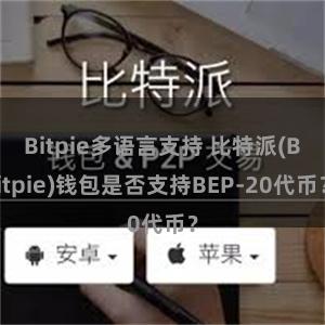 Bitpie多语言支持 比特派(Bitpie)钱包是否支持BEP-20代币？