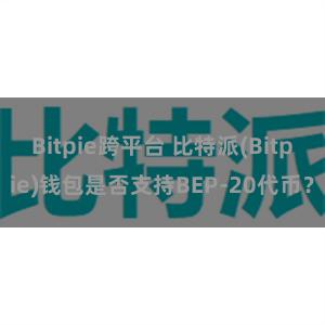 Bitpie跨平台 比特派(Bitpie)钱包是否支持BEP-20代币？