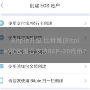 Bitpie升级 比特派(Bitpie)钱包是否支持BEP-20代币？