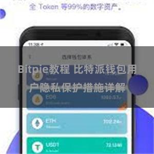 Bitpie教程 比特派钱包用户隐私保护措施详解