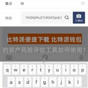 比特派便捷下载 比特派钱包的资产风险评估工具如何使用？