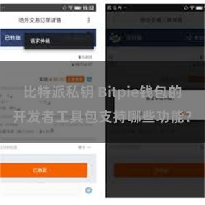 比特派私钥 Bitpie钱包的开发者工具包支持哪些功能？