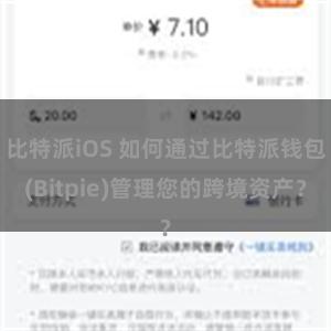 比特派iOS 如何通过比特派钱包(Bitpie)管理您的跨境资产？