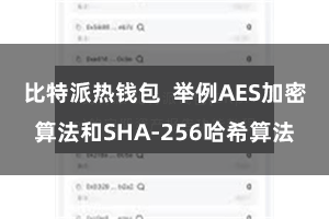 比特派热钱包  举例AES加密算法和SHA-256哈希算法