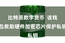 比特派数字货币  该钱包救助硬件加密芯片保护私钥