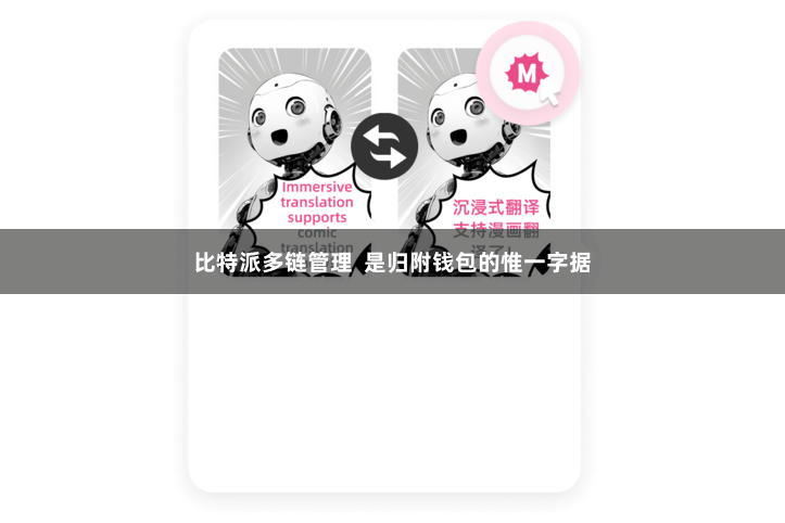 比特派多链管理  是归附钱包的惟一字据