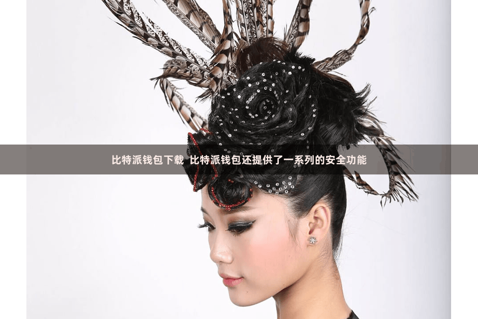 比特派钱包下载  比特派钱包还提供了一系列的安全功能