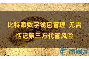 比特派数字钱包管理  无需惦记第三方代管风险