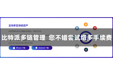 比特派多链管理  您不错尝试增多手续费